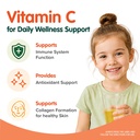 brauer-baby-kids-1year-liquid-vitamin-c--81aSVTLmrqL.jpg