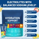 electrolytes-sachets-24pcs-electrolytes--81HY10oDZdL.jpg