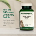 standard-process-canine-dermal-support-1-71Qwr4zzncL.jpg