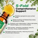 adrenal-balance-harmony-drops-for-dogs-r-81Mdn5rLQmL.jpg
