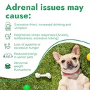 adrenal-balance-harmony-drops-for-dogs-r-81bDF6lI32L.jpg