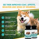 aminavast-kidney-support-for-dogs-over-2-81pB2YqKRfL.jpg