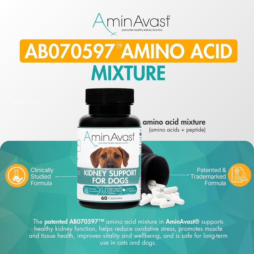 aminavast-kidney-support-for-dogs-over-2-81amDB1fn9L.jpg