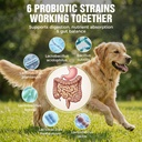 probiotics-for-dogs-soft-chews-for-gut-d-81froCCT80L.jpg