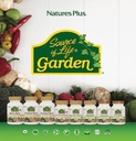 natures-plus---source-of-life-garden-cur-5.jpg