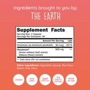 happy-healthy-hippie-metabolaid-chromium-71xSAYyIUFL.jpg