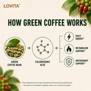 lovita-green-coffee-bean-extract-800mg-8-71nro4z0VpL.jpg