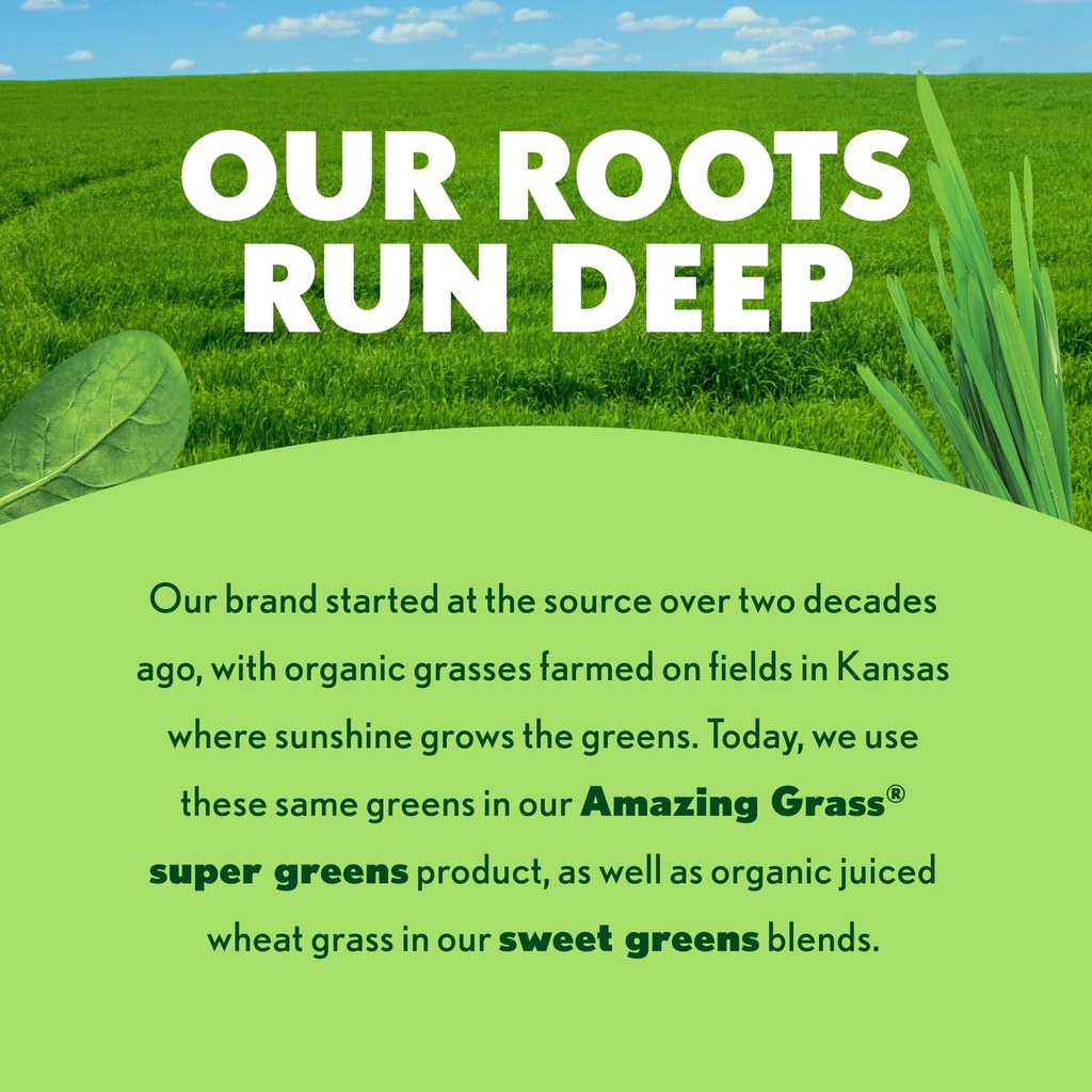 amazing-grass-super-greens-powder-origin-81LDFDdFvoL.jpg