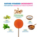 kids-immune-support-lollipops-prebiotic--81Mlx9JVe1L.jpg