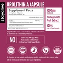 stay-alive-urolithin-a-supplement-1000mg-71JPMZXcu5L.jpg