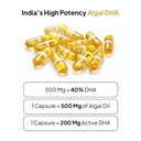 miduty-veg-omega-3-500mg-40-algal-dha-ep-610bbYwY+SL.jpg