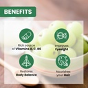 baidyanath-ayurved-amla-juice-1l-indian--61-VZ7IsR-L.jpg