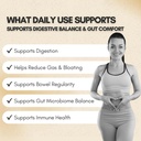 gut-health-probiotic-60-billion-cfu-12-s-81xh4WmgEVL.jpg