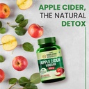 vlado-s-himalayan-organics-apple-cider-v-812qoXPzZML.jpg
