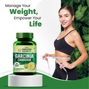 vlado-s-himalayan-organics-garcinia-camb-71EskhFd5cL.jpg