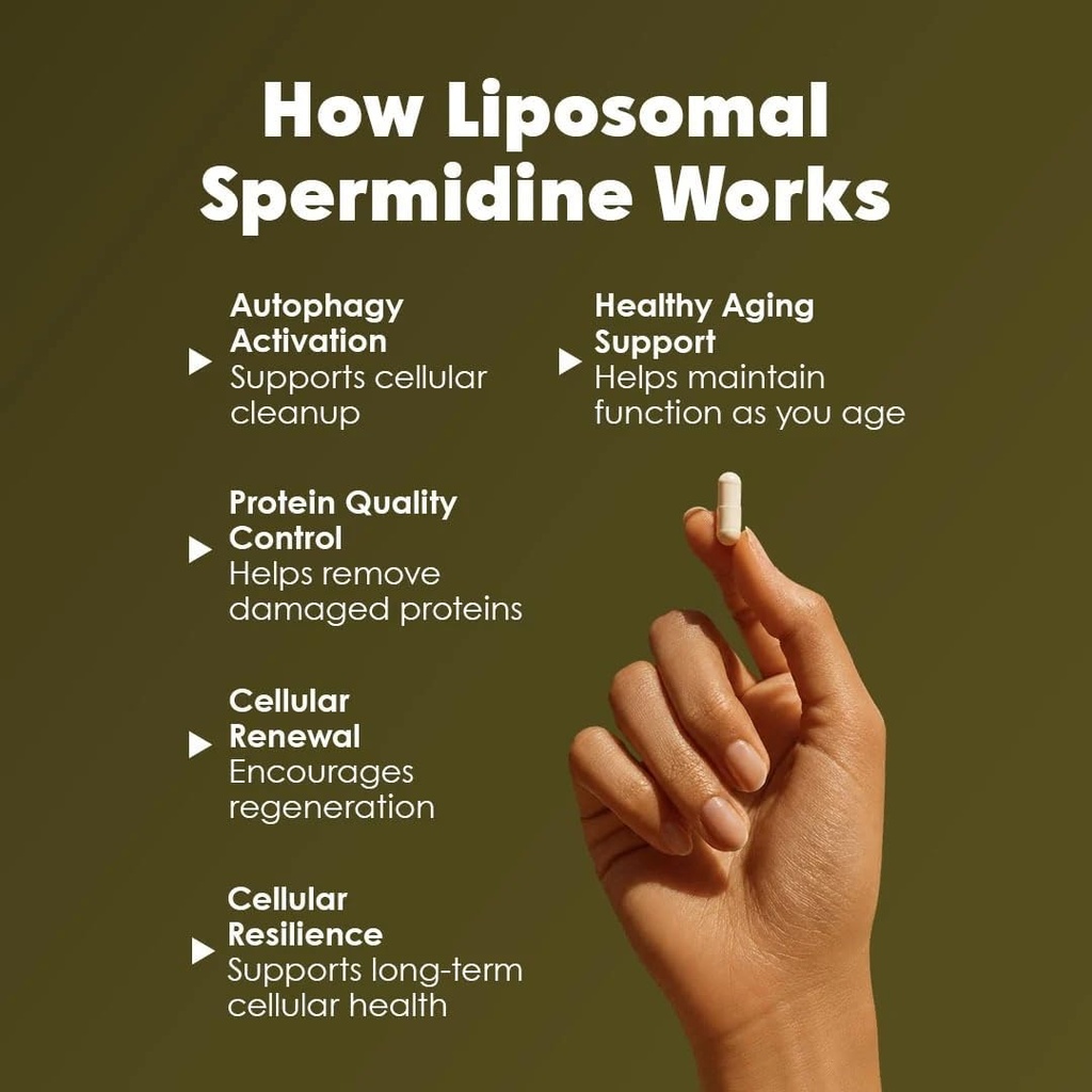 gataca-liposomal-spermidine-60-vegan-cap-612Wst5EuiL.jpg