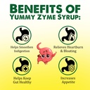 healing-pharma-yummy-zyme-digestive-enzy-71hfDsXqwbL.jpg