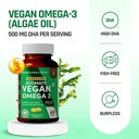 naturaltein-ultimate-vegan-omega-3-60-so-71SMOMMnRQL.jpg