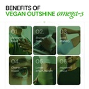 ace-blend-outshine-omega-3-vegan-with-38-71wkG-aT2ZL.jpg