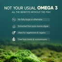 rasayanam-plant-based-omega-3-capsules-1-71qrdCxDxBL.jpg