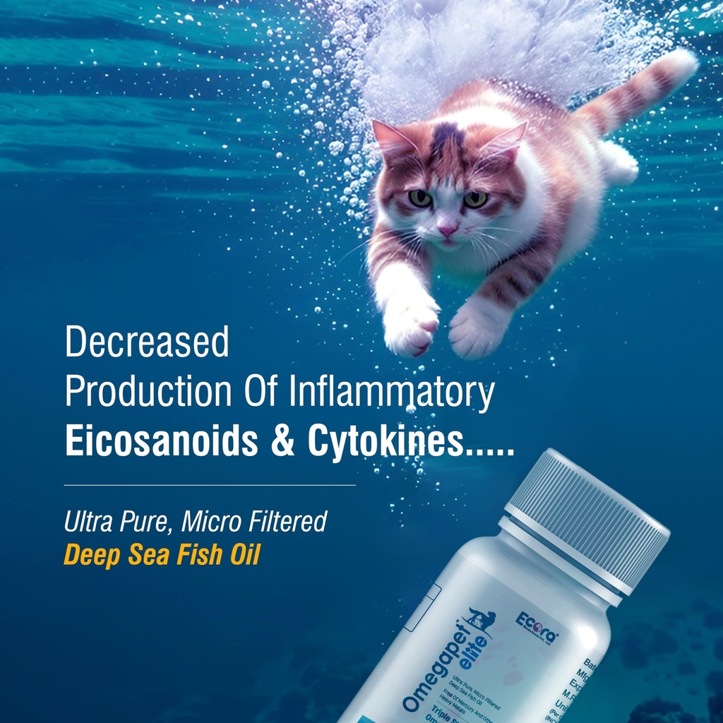 omega-pet-elite-softgel-capsules-ultra-p-81eVfk+G3DL.jpg