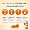 baba-mastnath-ayurved-sea-buckthorn-juic-81cadWobJaL.jpg
