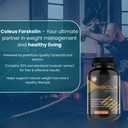 vitaminhaat-coleus-forskohlii-500-mg-for-61ewHF38v6L.jpg