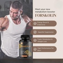 vitaminhaat-coleus-forskohlii-500-mg-for-61eotvgLhCL.jpg