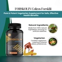vitaminhaat-coleus-forskohlii-500-mg-for-6185sX8BfnL.jpg