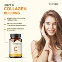 wellwith-by-ayuzera-seabuckthorn-capsule-81QpcghHtAL.jpg