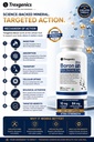 trexgenics-boron-10-mg-xtra-strength-fro-71SXWVUsYuL.jpg