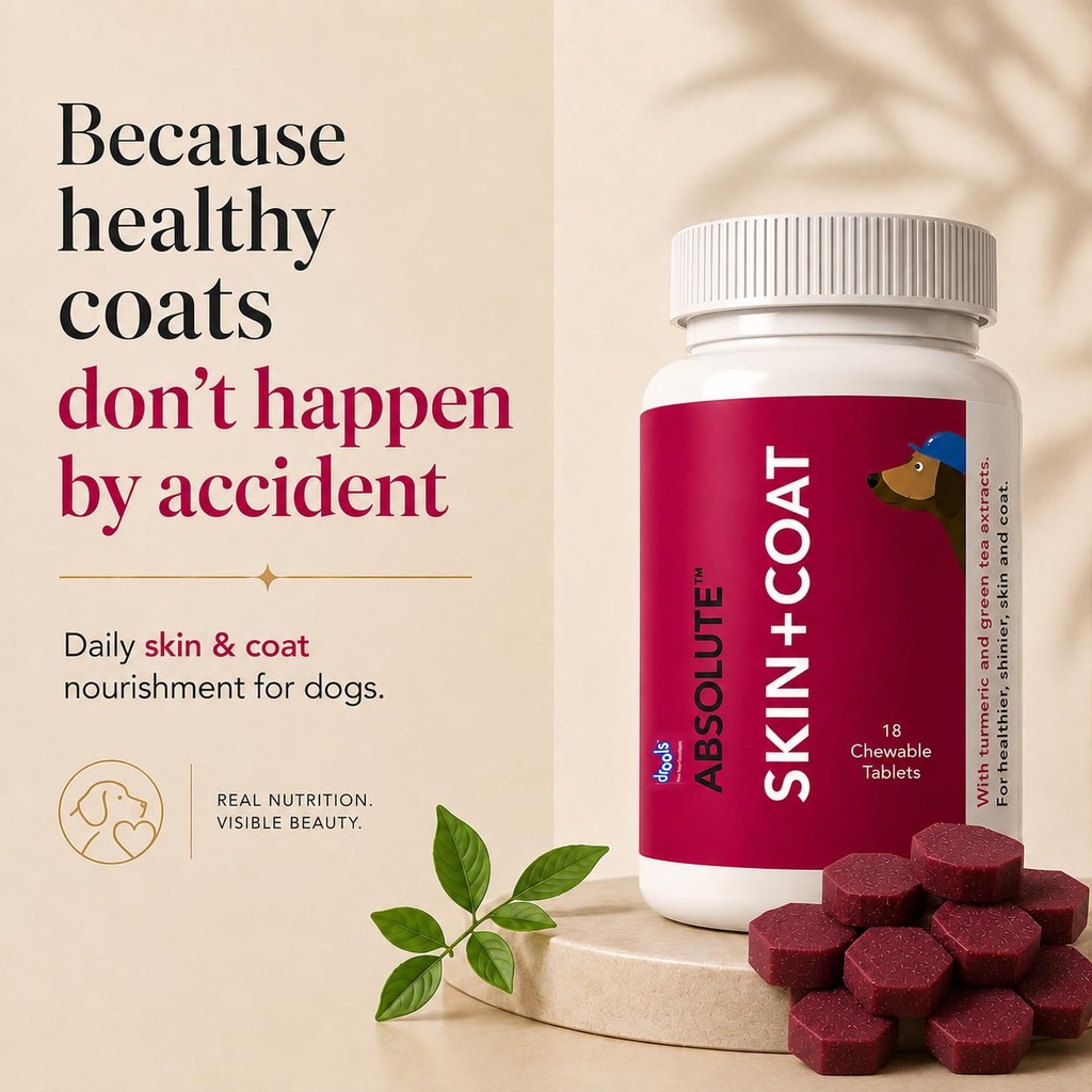 drools-absolute-dog-supplement-tablet-sk-71yCRi9so0L.jpg