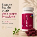 drools-absolute-dog-supplement-tablet-sk-71yCRi9so0L.jpg