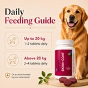 drools-absolute-dog-supplement-tablet-sk-718ZkzFF5WL.jpg