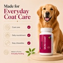drools-absolute-dog-supplement-tablet-sk-71ropQasbuL.jpg