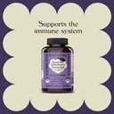 elderberry-gummies---60-count-natural-wi-5.jpg