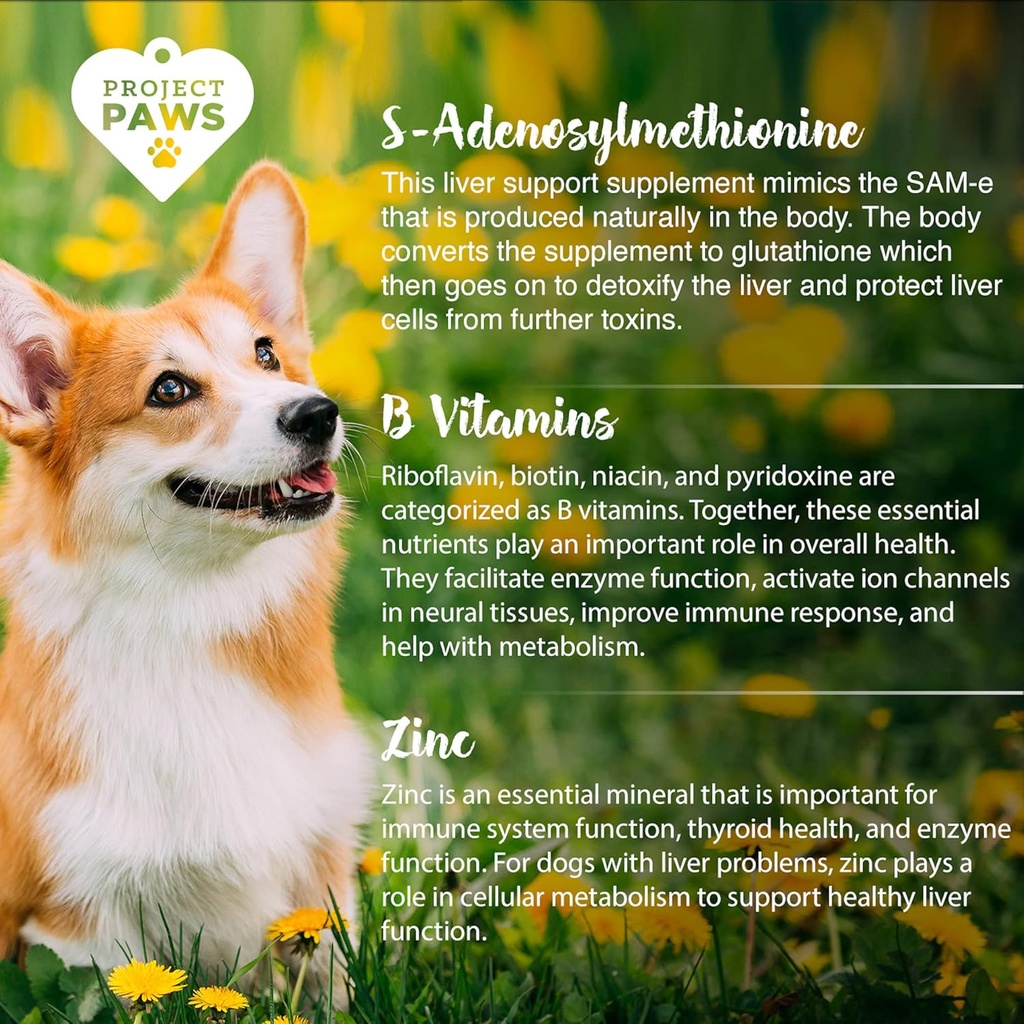 project-paws-same-for-dogs---liver-suppo-4.jpg