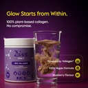 dive-daily-veg-collagen-powder-250g-plan-716eXarMs2L.jpg