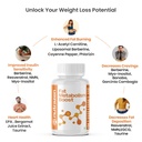 fat-metabolism-boost-pack-of-3-20-plant--61vaByC8enL.jpg
