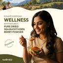 wellwith-himalayan-sea-buckthorn-dry-ber-81LMRj6qQrL.jpg