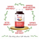 bliss-welness-cholesterol-management-hea-71DaDMp0RgL.jpg