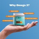 vegan-omega-3-supplement-algae-flaxseed--715BOyYyLRL.jpg