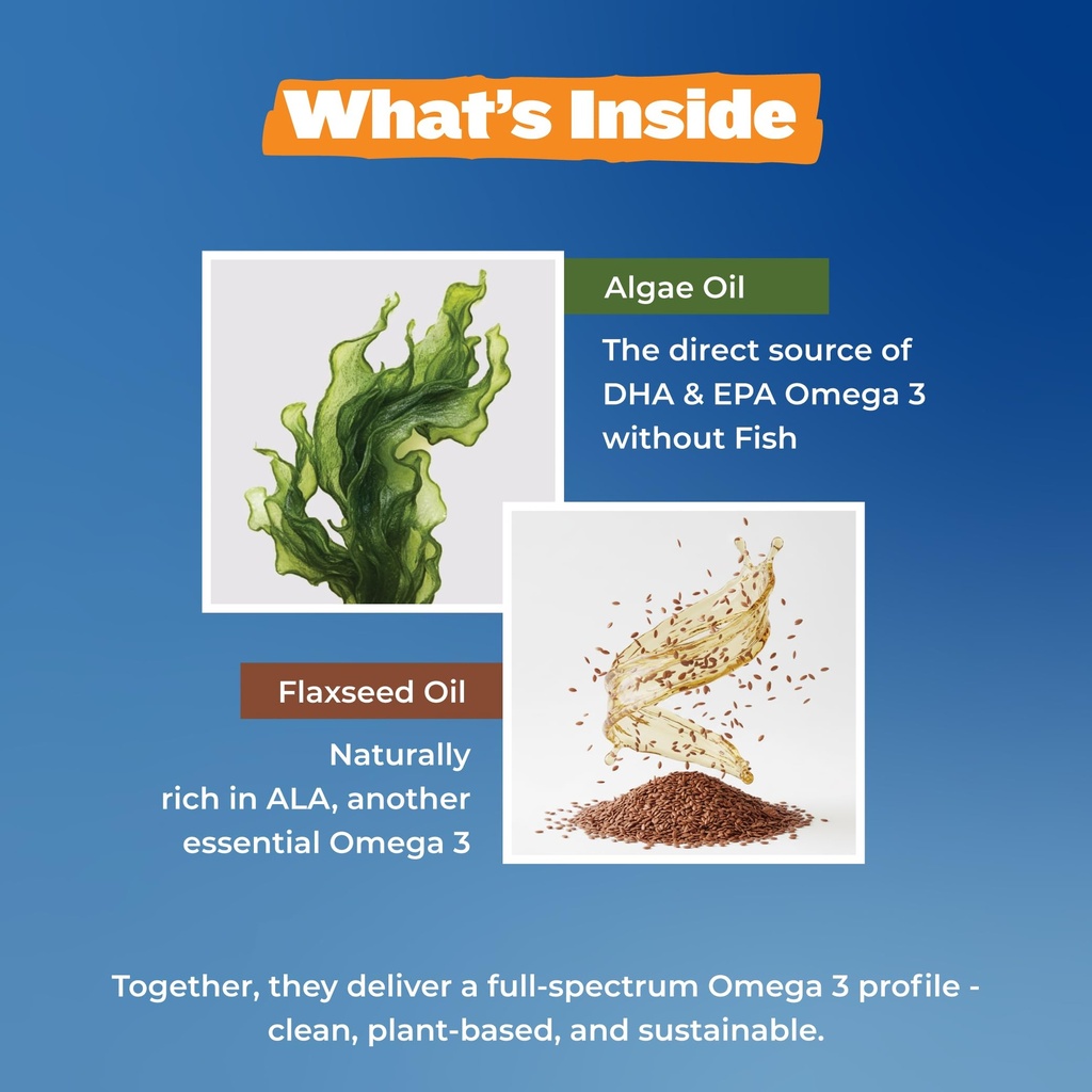vegan-omega-3-supplement-algae-flaxseed--71bHnfF68kL.jpg