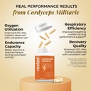 rooted-actives-cordyceps-militaris-mushr-61fzgT0fcPL.jpg