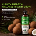 mct-oil-500ml-pure-c8-c10-keto-paleo-fri-71uR5HFW64L.jpg