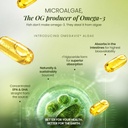 gnc-vegan-omega-3-epa-dha-from-microalga-61nDJxA8V4L.jpg