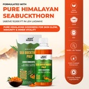 the-body-reserve-himalayan-sea-buckthorn-716vDQxAPIL.jpg