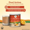 a-tata-product-organic-india-sat-isabgol-81cKwBMZAGL.jpg