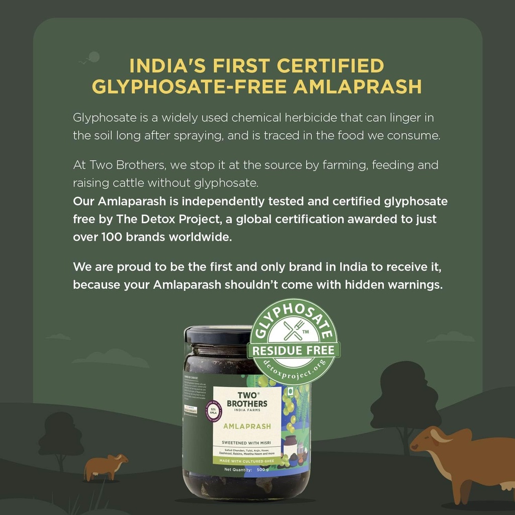 two-brothers-amlaprash-300g-sugar-free-a-71m4QGwjIjL.jpg