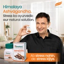 himalaya-shilajit-ashvagandha-combo-i-60-71OW7x5-4tL.jpg